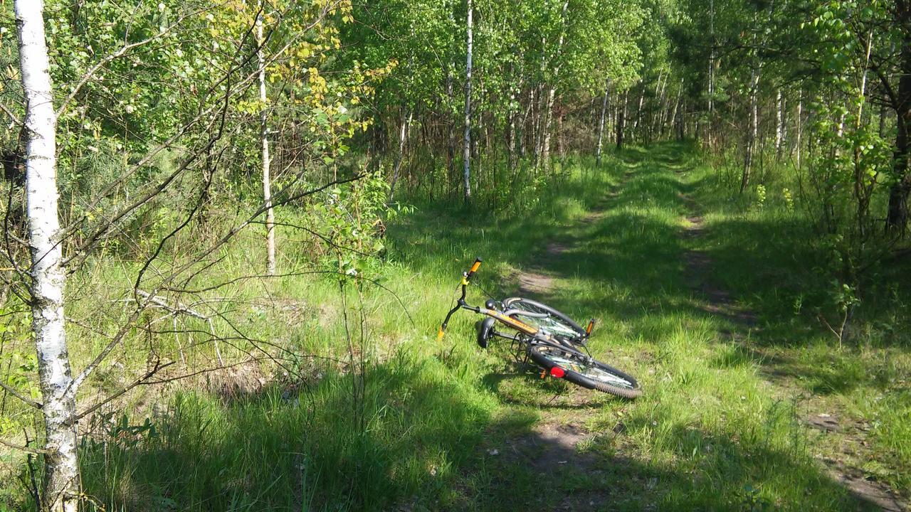 Apartment Bambukovyi Gai