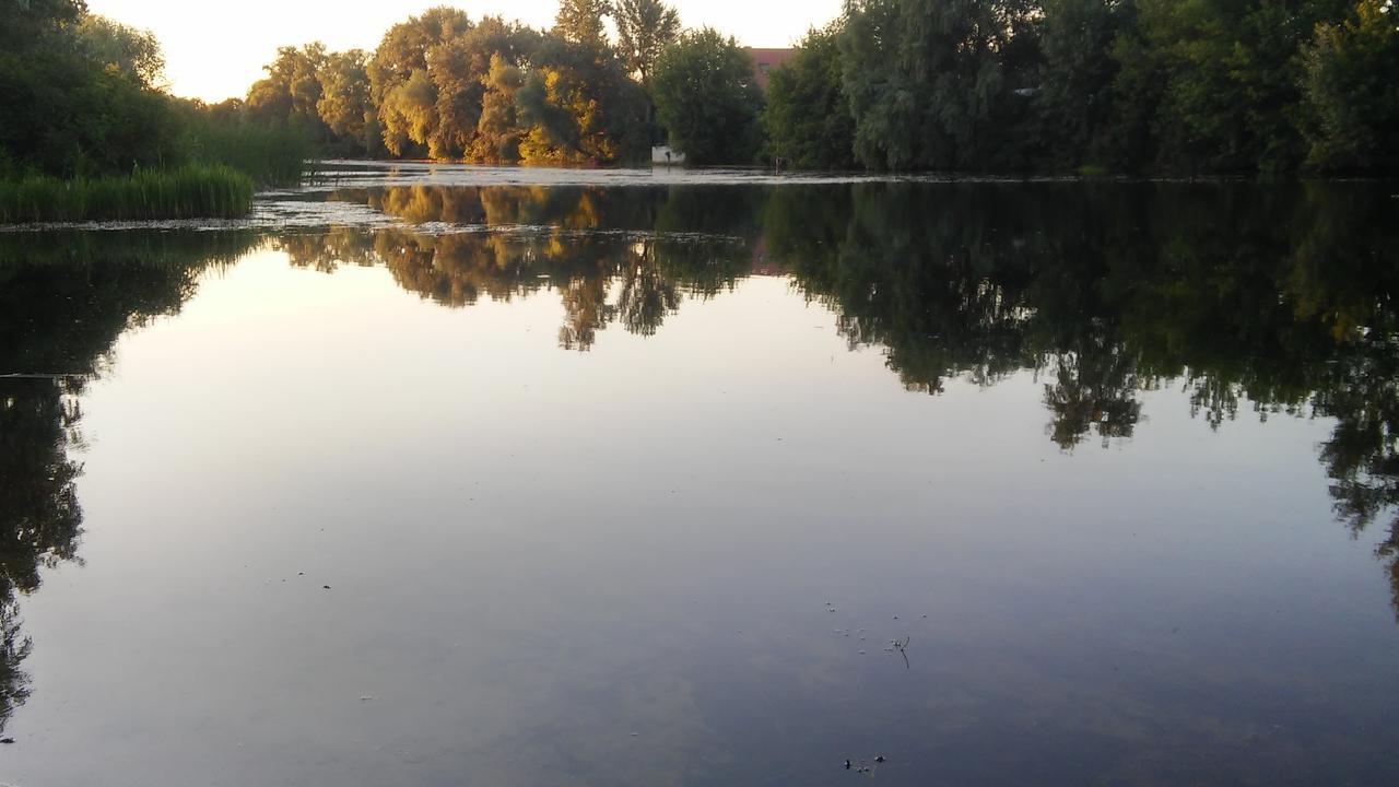 Bambukovyi Gai *